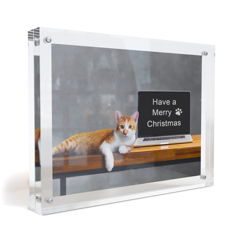 Premium Metal Picture Frame - Large
