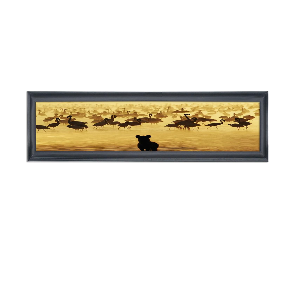 Panoramic Photo Frame White product photo